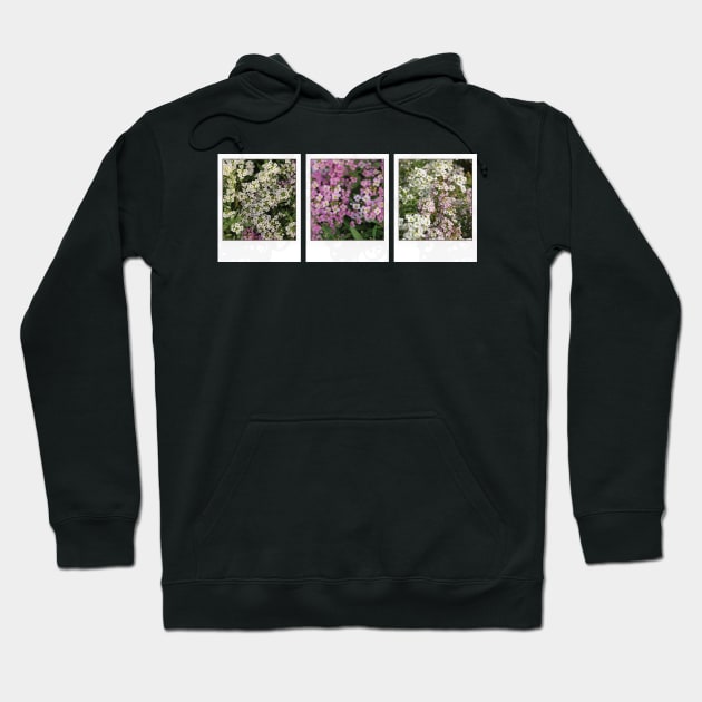 Assylum Photo Collection [mixed bundle] Hoodie by deadbeatprince typography